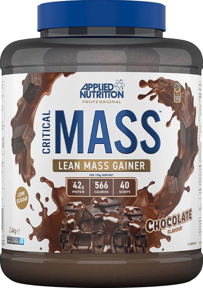 Critical Mass Professional - Afbeelding 3