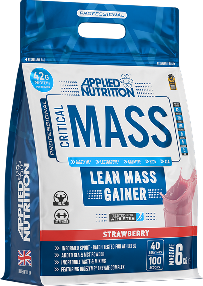 Critical Mass Professional - Afbeelding 11