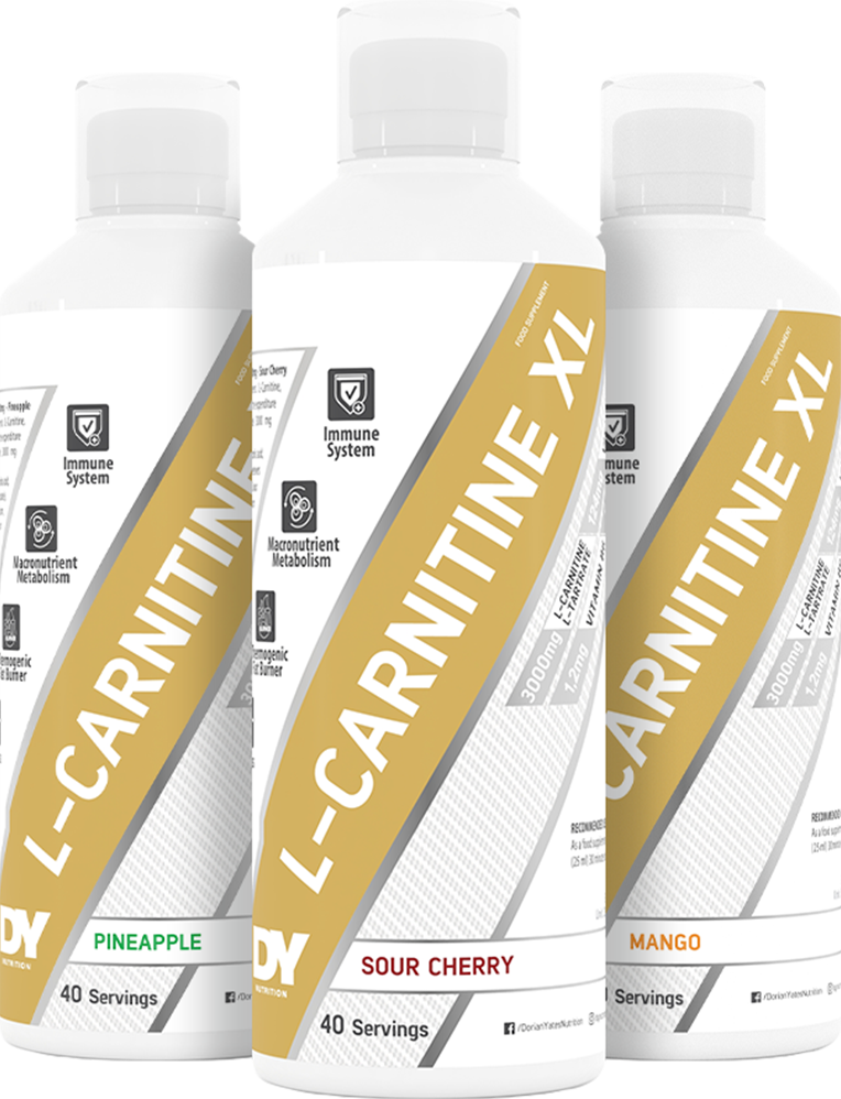 L-Carnitine XL – 1000 ml