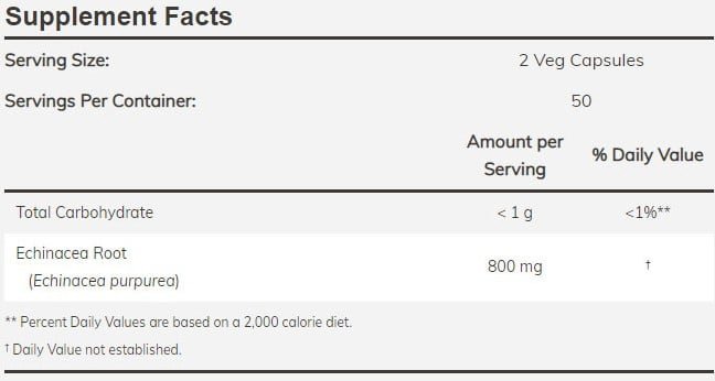 NOW4660 Euchinacea Purp 400 mg – 100 veg caps - Afbeelding 2