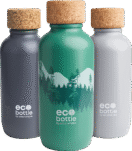 EcoBottle 650