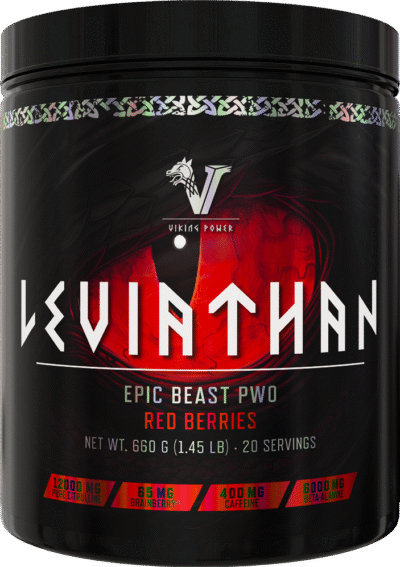 Leviathan Hardcore PWO - Afbeelding 3