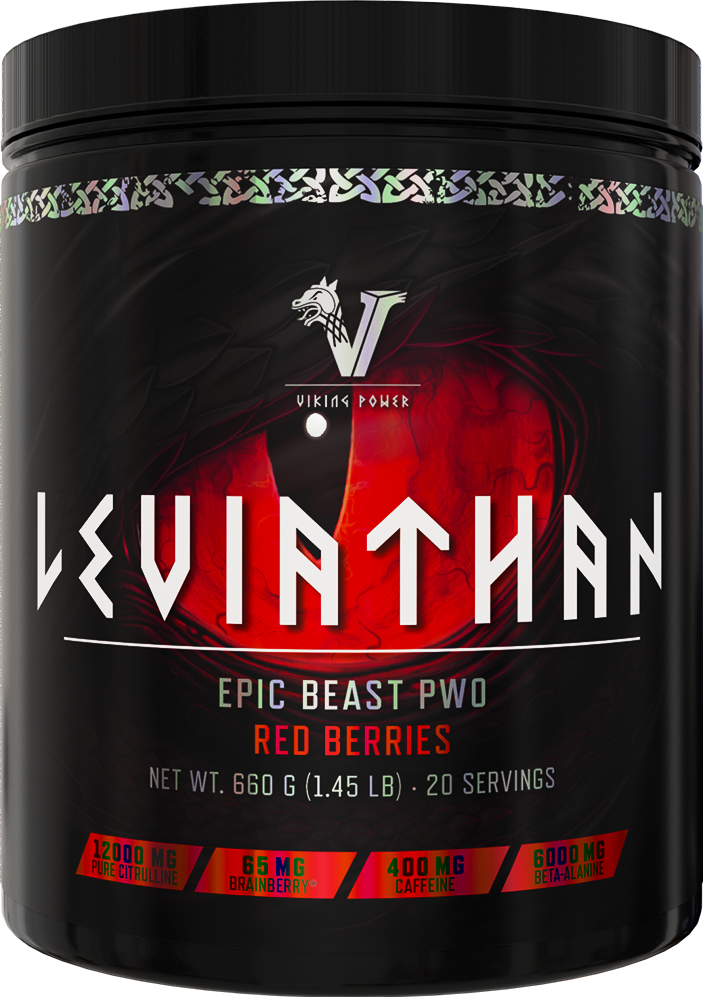Leviathan Hardcore PWO - Afbeelding 3