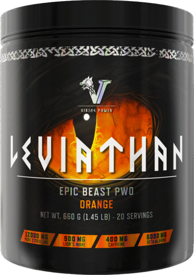 Leviathan Hardcore PWO - Afbeelding 2